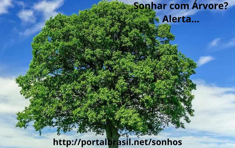 Significado de Sonhar com Árvore Significa uma representação da sua conexão com seu entes queridos e como você lida com as relações familiares.