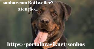 Sonhar com Rottweiler significa reavaliar seus valores e questionar sua identidade. Escolha seus sentimentos e organize atitudes. A vida é curta, e aproveite o que
