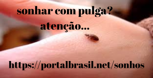 Sonhar com Pulga têm Alguns Significados. Atenção! Cuidado!
