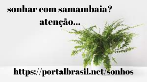 Sonhar com Samambaia significa ser amplas, fortes e muito vivas, sonhar com eles pode ser um bom sinal. Associadas a espaços maiores, conquistas e melhores remunerações, ligadas à chegada do sucesso, tanto na vida profissional quanto pessoal.
