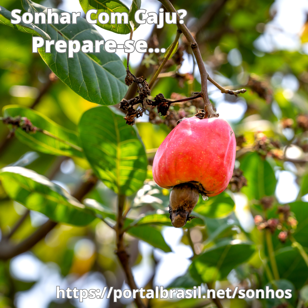 Sonhar com caju tem Alguns Significados. Atenção! Cuidado!