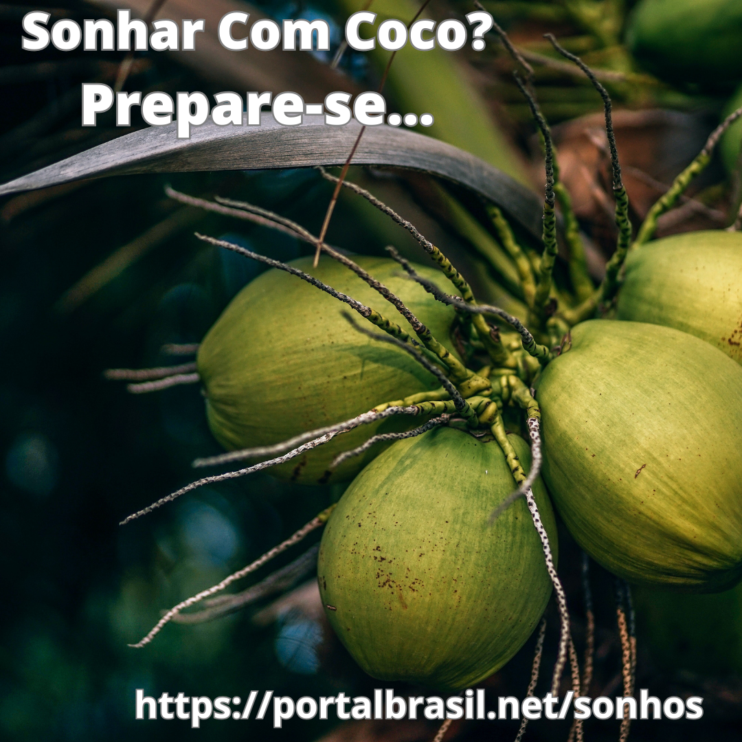 Sonhar com coco tem Alguns Significados. Atenção! Cuidado!