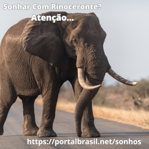 Sonhar com Rinoceronte significa que você tem uma personalidade forte e marcante, que se destaca entre os demais. Você é capaz de lidar com situações adversas com coragem e determinação.