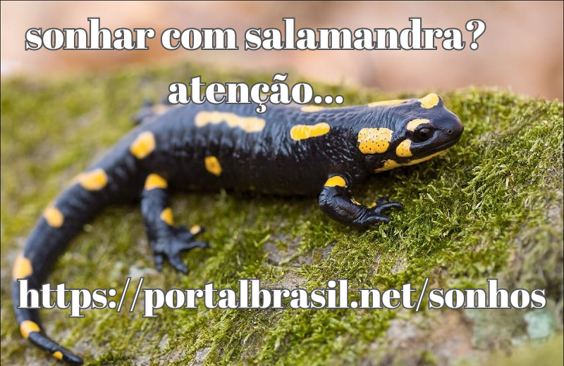 Sonhar com Salamandra significa riqueza, poder e sorte, e indica a presença de energias positivas, sucesso e a capacidade de superar desafios e obstáculos no seu caminho.